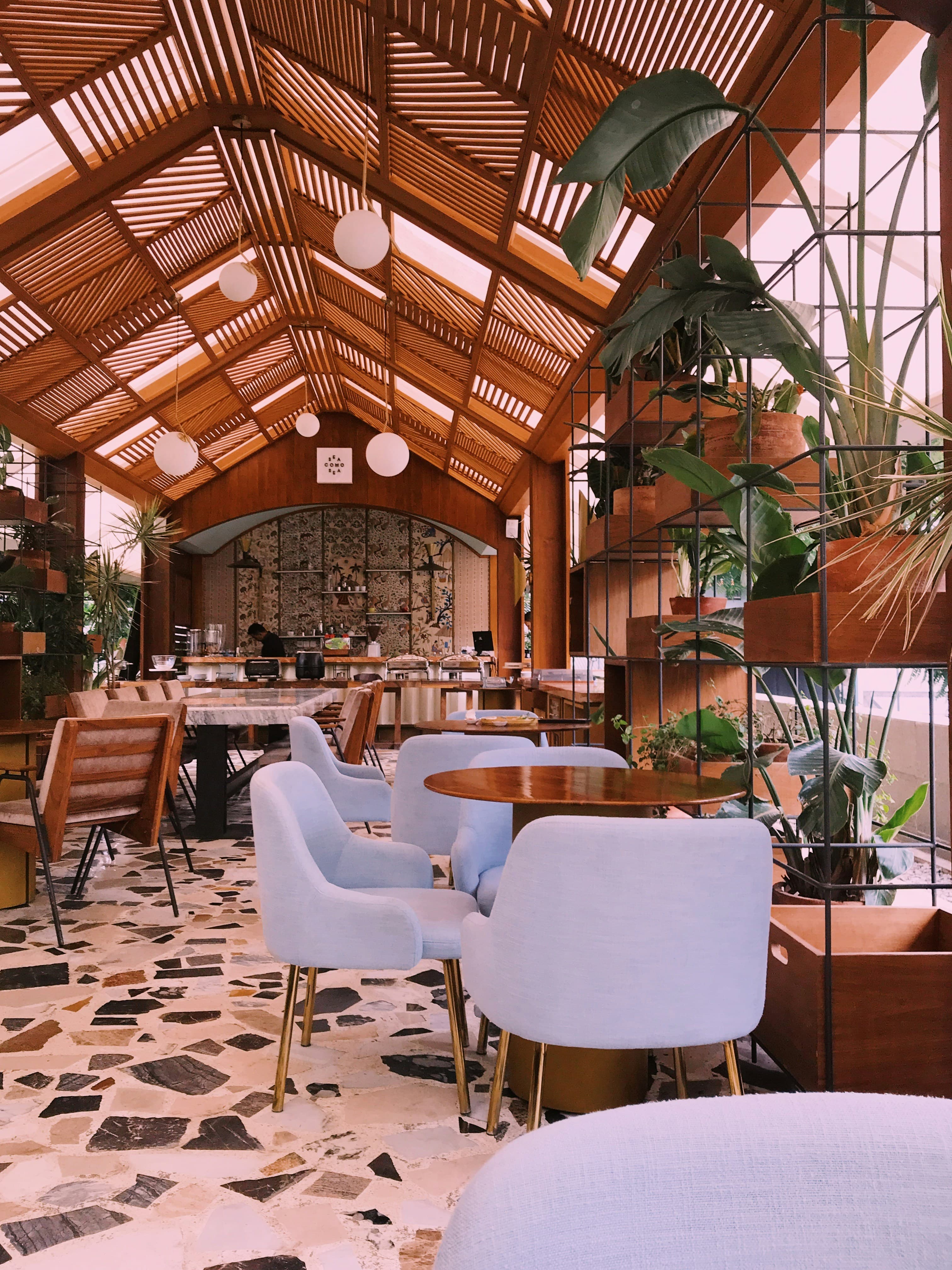 Light-filled restaurant with a wooden skylight roof and lush plants